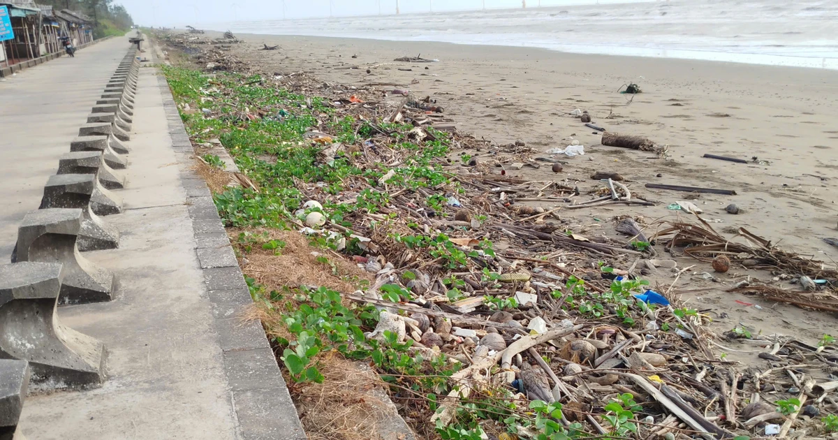 Nhếch nhác khu du lịch Ba Động nổi tiếng