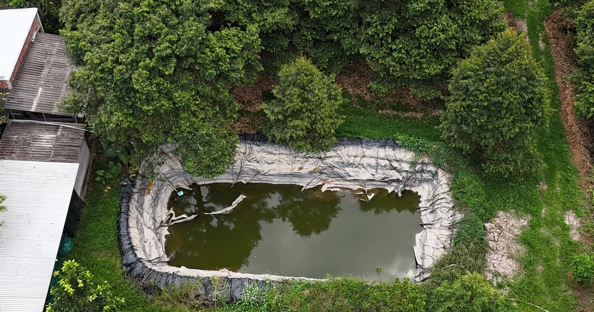 Sẵn sàng phương án mua nước ngọt cấp cho dân khi mặn gay gắt