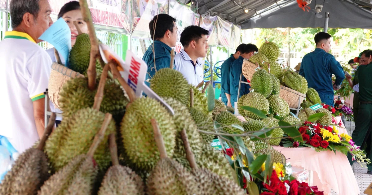 Chất lượng sầu riêng miền Tây không thua kém Thái Lan, vấn đề ở Cadimi