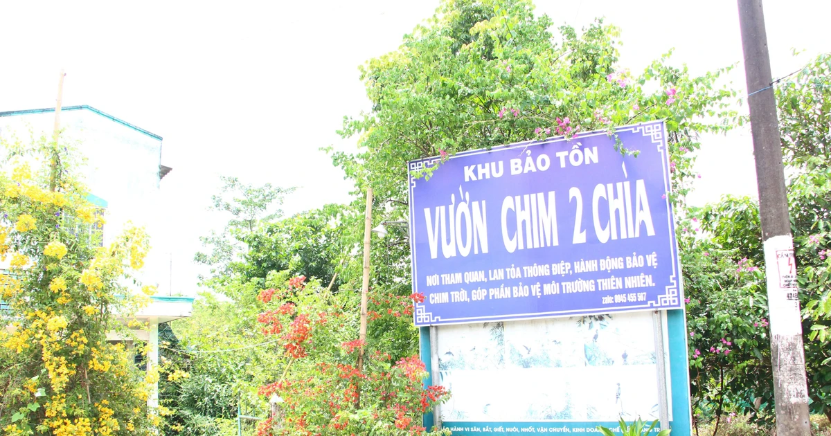 Sau lời khẩn cầu, sở ngành Vĩnh Long tìm cách bảo vệ vườn chim Hai Chìa