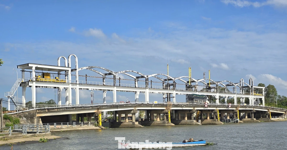 Xâm nhập mặn lấn sâu 40-60km ở Đồng bằng sông Cửu Long