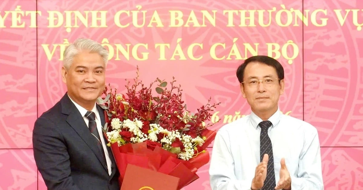Tiếp nhận, điều động, bổ nhiệm nhân sự ở Hà Nội, TPHCM và 3 tỉnh