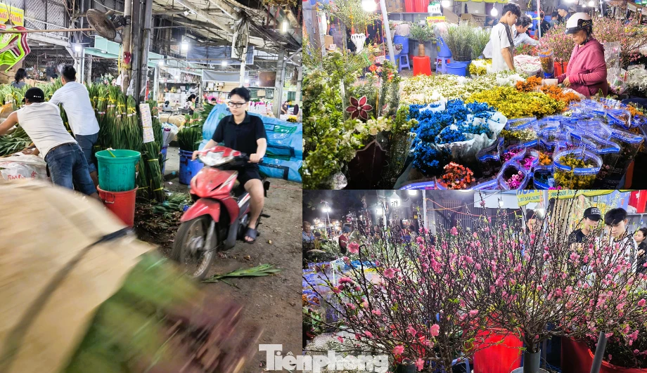 Chợ hoa tươi Đầm Sen sáng đèn xuyên đêm, tấp nập những ngày giáp Tết Bính Ngọ