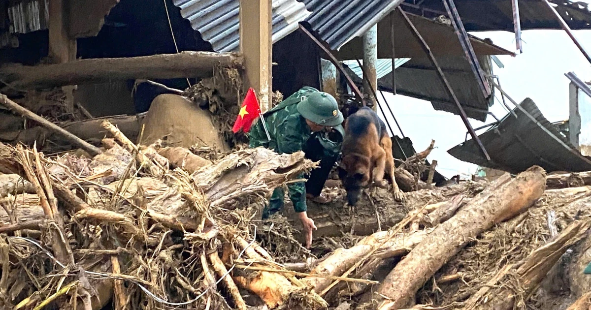 Biên phòng và quân khuyển chạy đua với thời gian tìm nạn nhân mất tích ở Lai Châu
