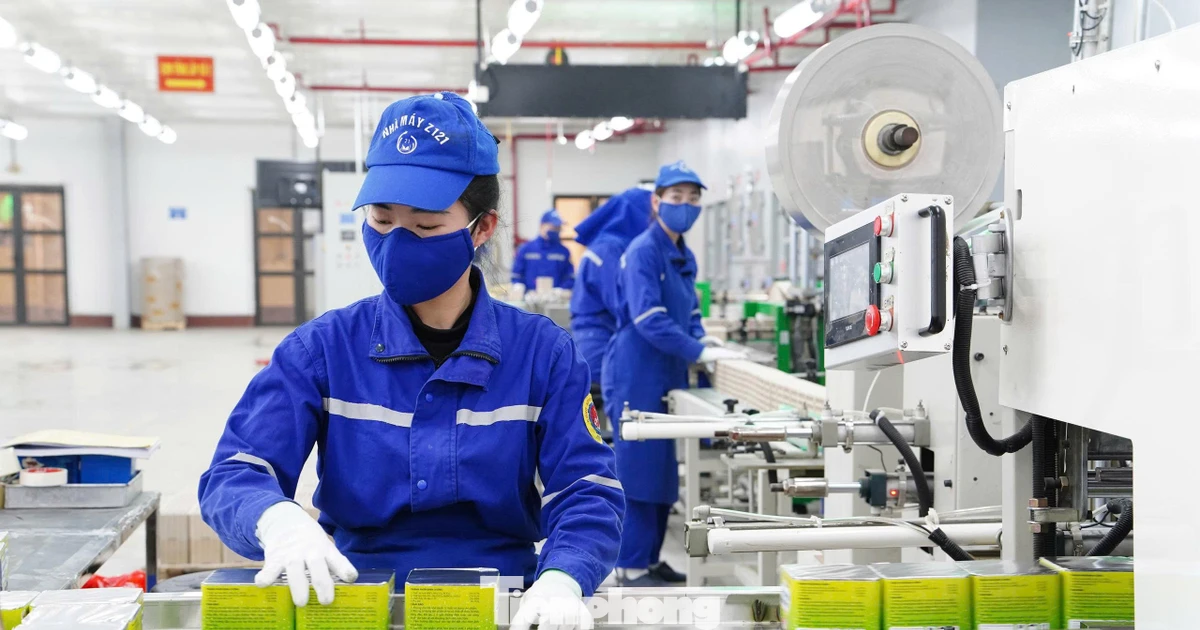 Đưa hơn 12 triệu giàn pháo hoa phục vụ thị trường Tết