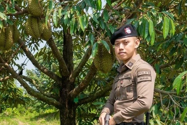 tienphong.vn