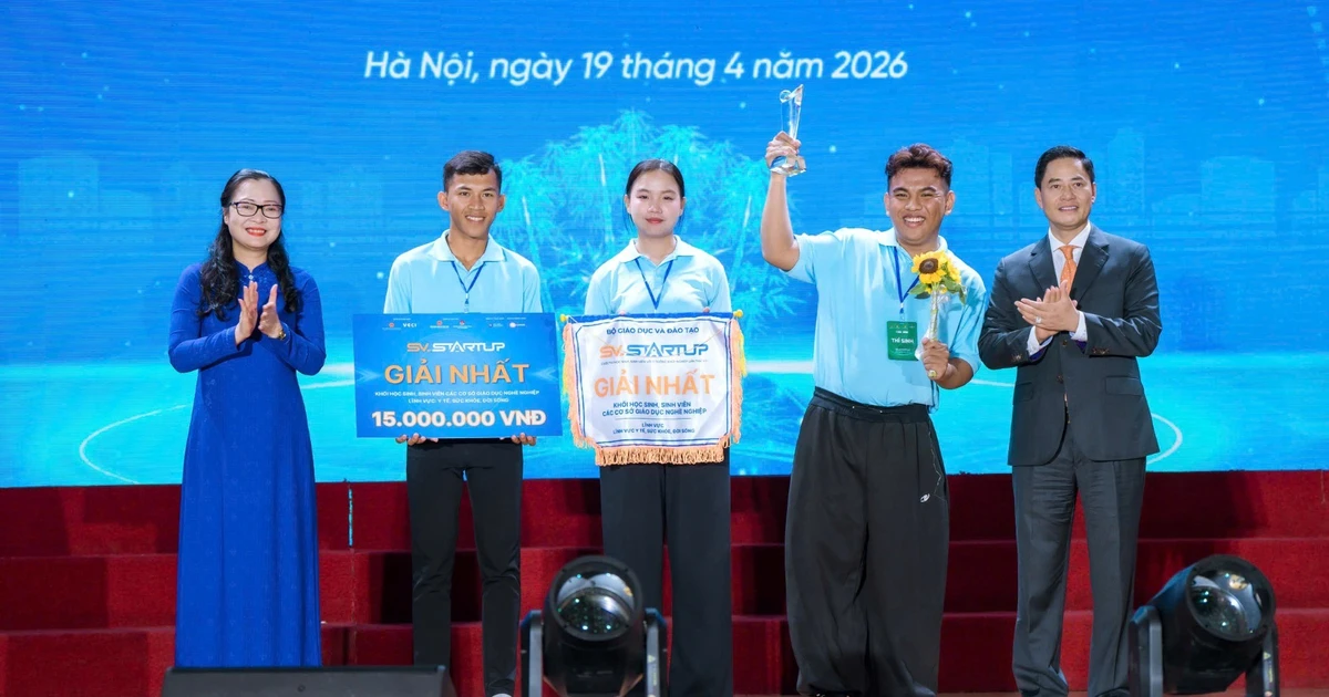 Sinh viên biến loại lúa bỏ đi thành trà thảo dược