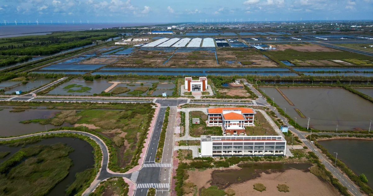 Khu công nghệ cao tôm ngủ quên suốt 9 năm, Cà Mau làm gì để 'đánh thức'