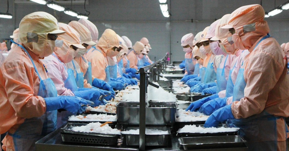 Mỗi tháng, Cần Thơ giải ngân được hơn 500 tỷ đồng vốn đầu tư công