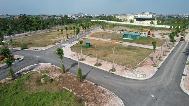 tienphong.vn