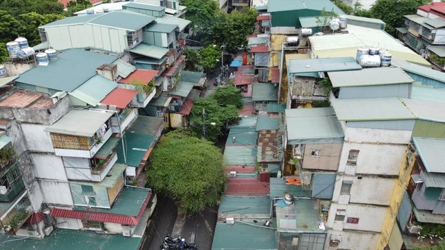 tienphong.vn