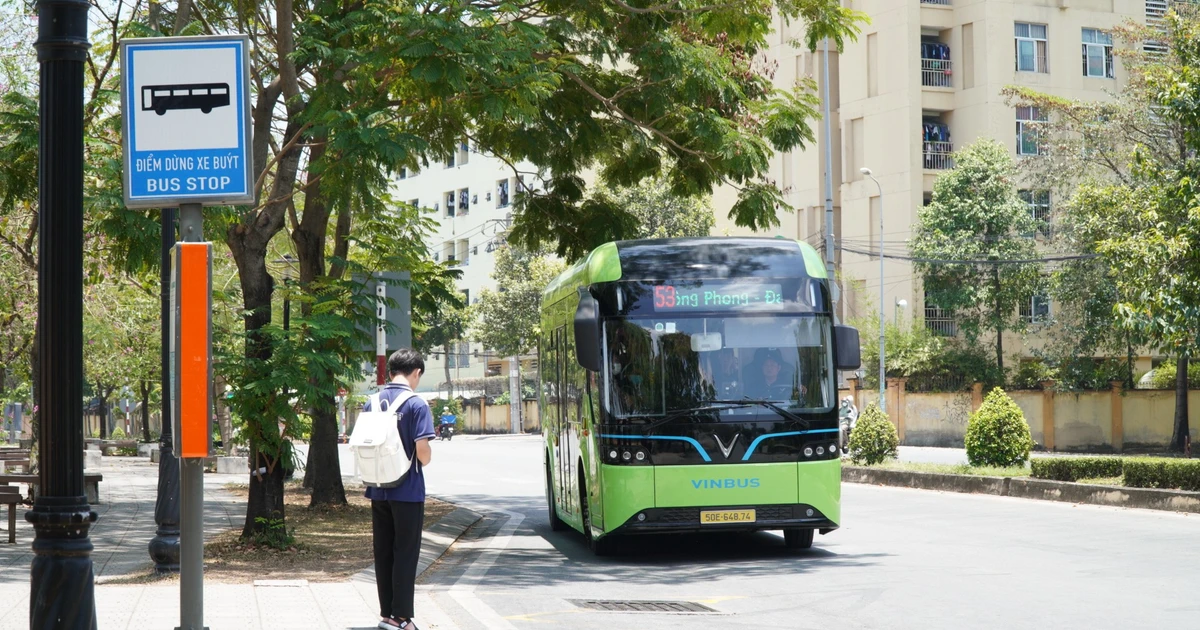 Sinh viên TP. Hồ Chí Minh phản ứng thế nào về việc miễn vé xe buýt?