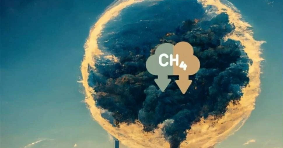 Giới trẻ Việt Nam chung tay bảo vệ môi trường từ những hành động nhỏ nhất