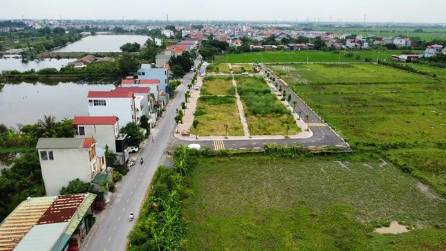 tienphong.vn