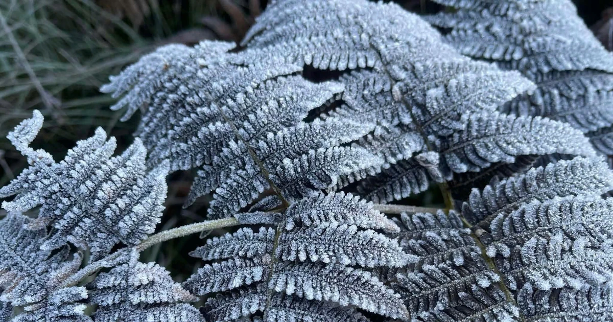 Xã Y Tý xuất hiện băng giá đầu mùa, nhiệt độ xuống 3 độ C