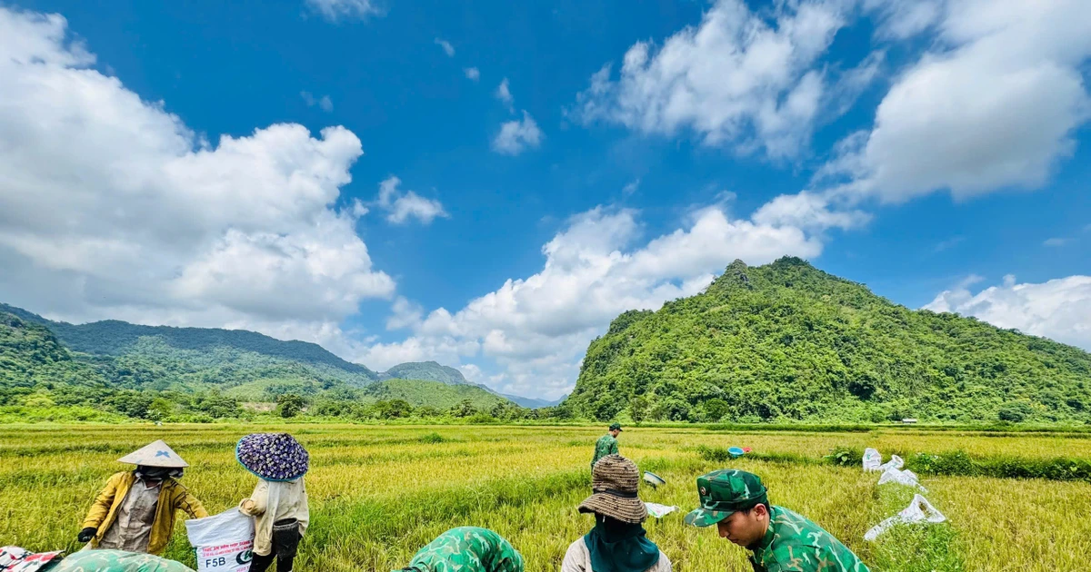 Rộn ràng ‘mùa vàng’ trên biên giới