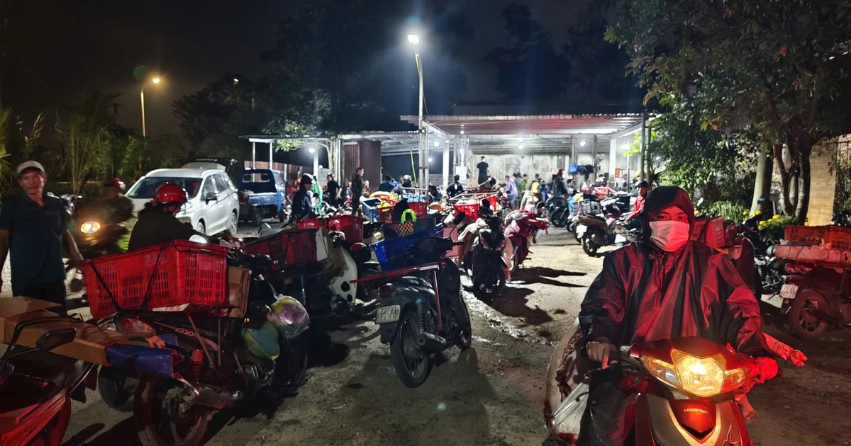 Lò mổ ở Quảng Trị vừa bị phạt gần 250 triệu đồng: Ai ‘chống lưng’ cho sai phạm kéo dài?