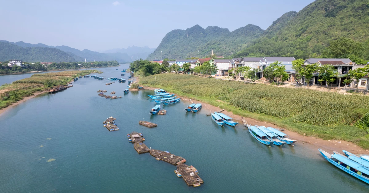 Cá trắm sông Son: 'Đặc sản' nuôi lớn miền di sản Phong Nha