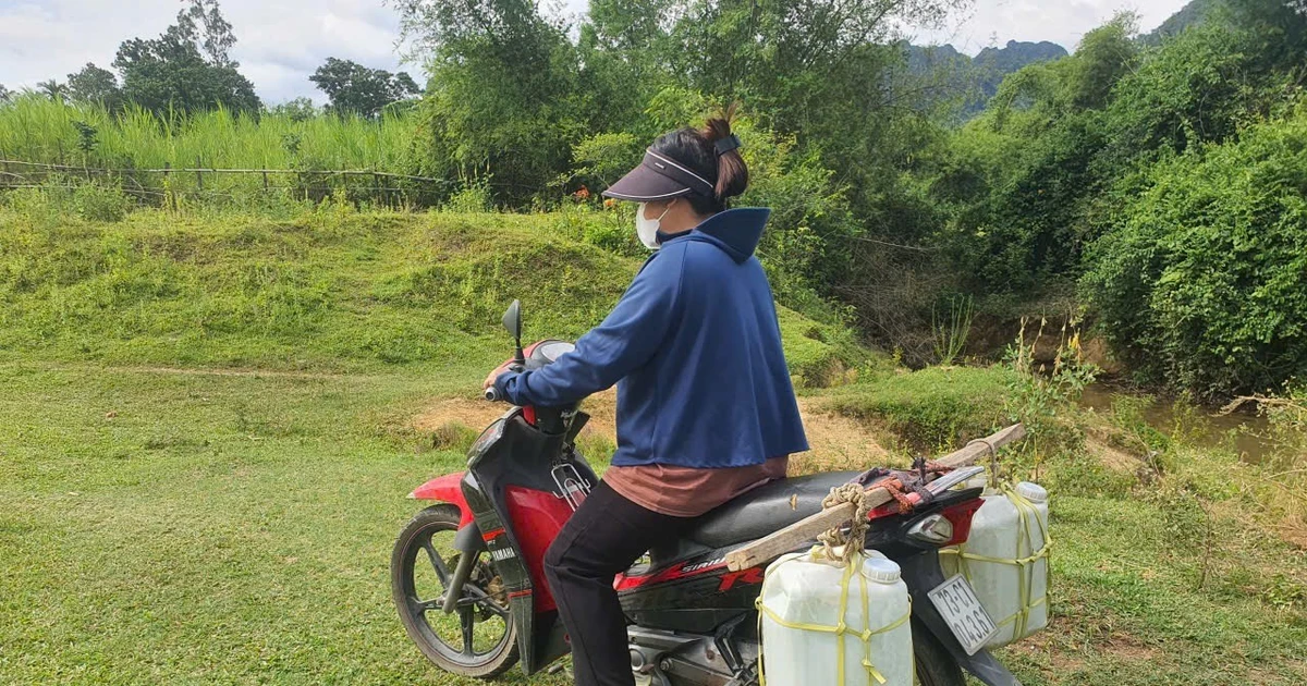 Bài viết