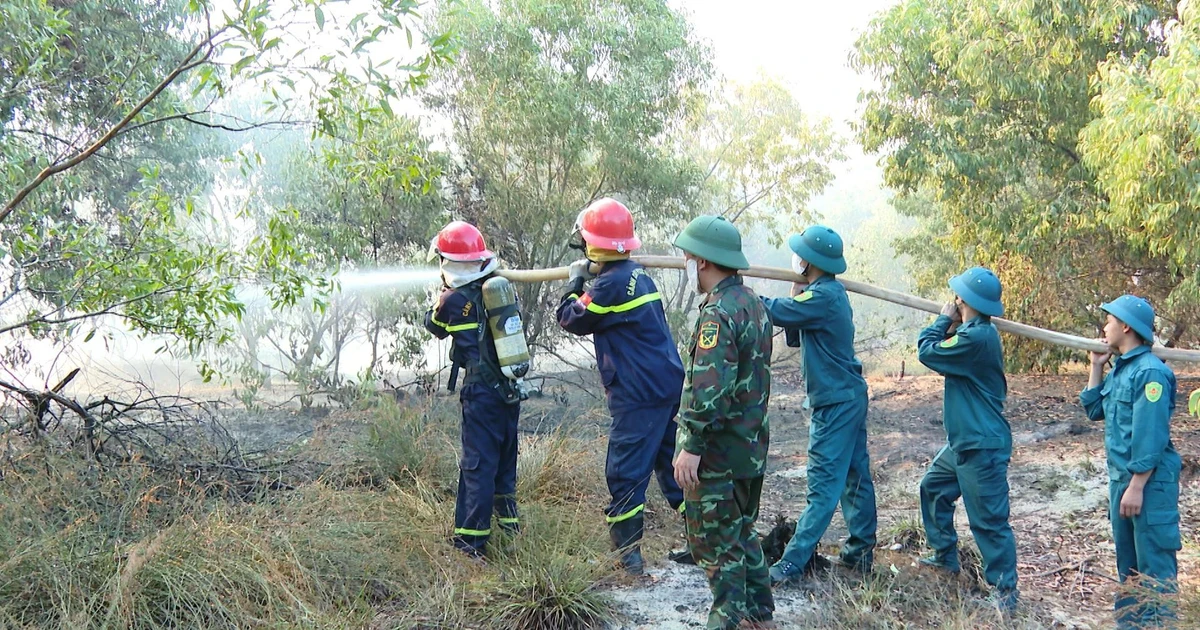 Cháy lớn thiêu rụi khoảng 200ha rừng ở Quảng Trị