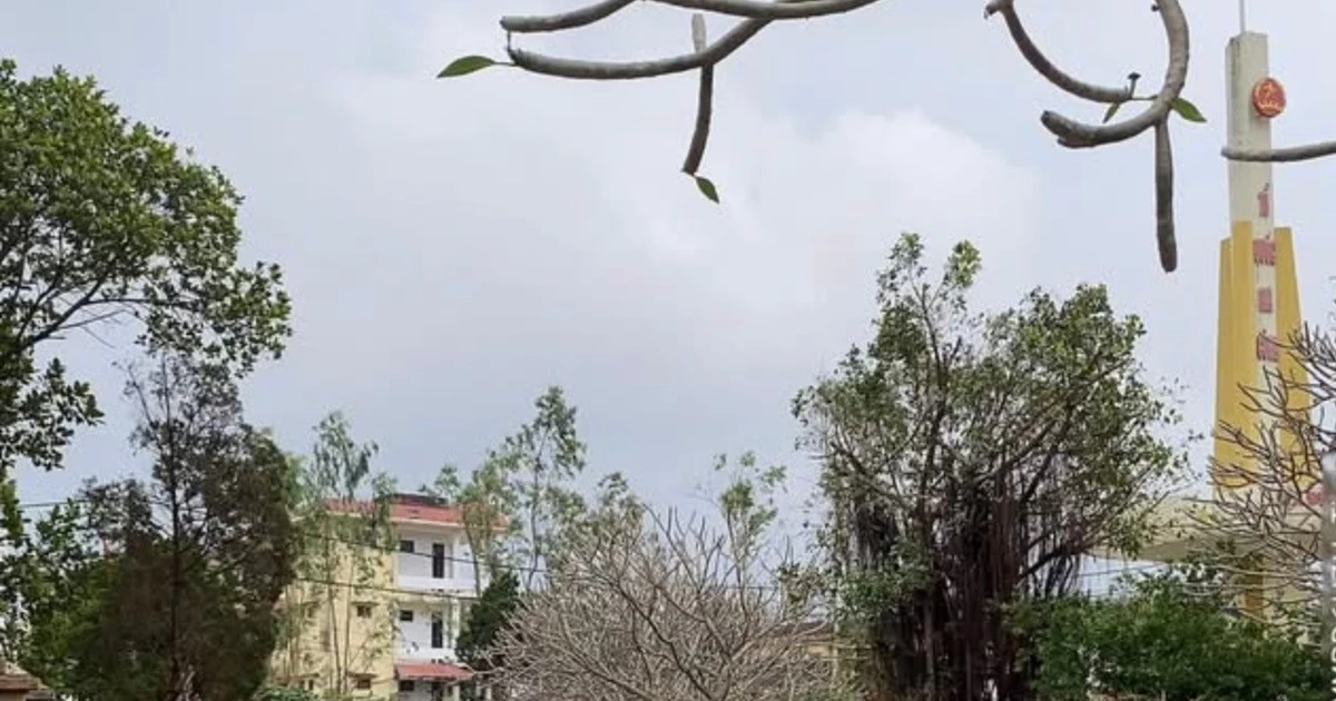 Nhiều học sinh chưa ngoan ở Quảng Trị tham gia quét dọn, vệ sinh Nghĩa trang Liệt sĩ