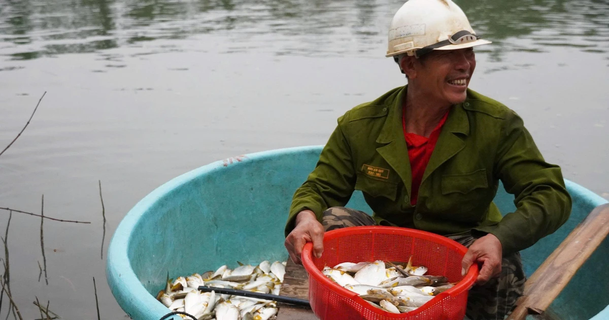 Mùa săn cá mòi dưới chân đập Rào Nan