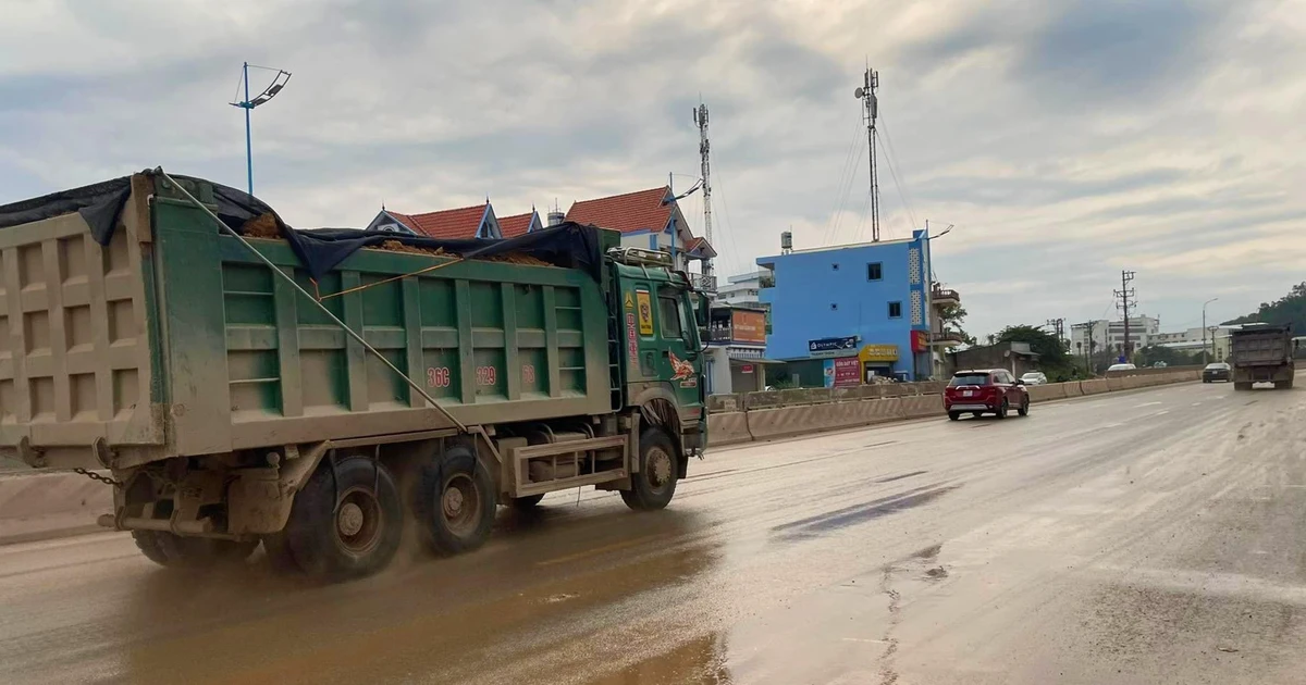tienphong.vn