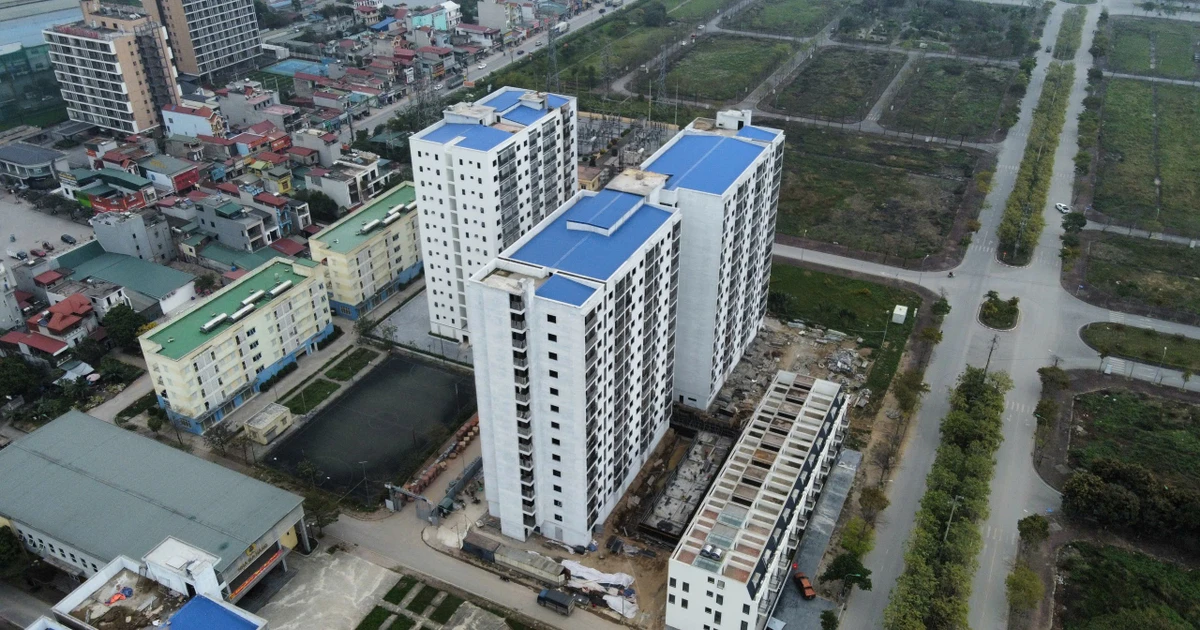 Kiến nghị bỏ quy định về 'lợi nhuận định mức' với nhà ở thương mại giá phù hợp