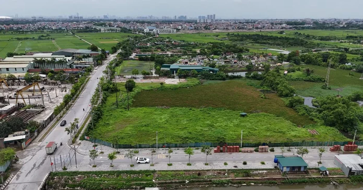 tienphong.vn