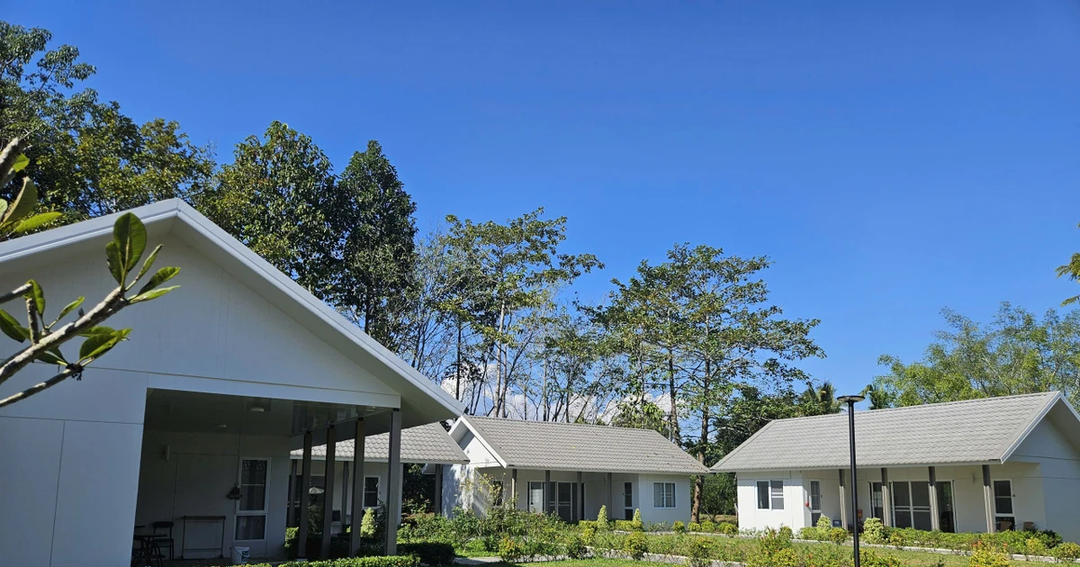 Cen EcoTech ra mắt 100 suất học bổng chuyên viên chăm sóc - chuẩn bị nguồn lực đón đầu làn sóng “kinh tế bạc”