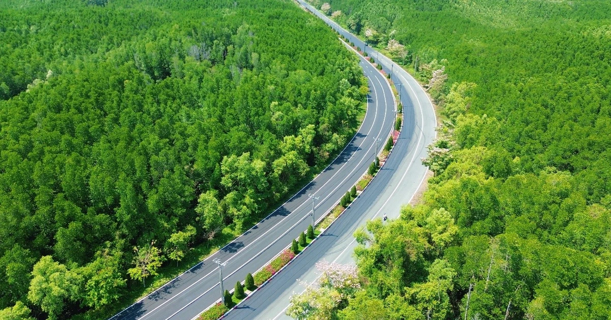 Cần Giờ: Rừng xanh – biển bạc – nắng vàng, hút khách dịp 30/4