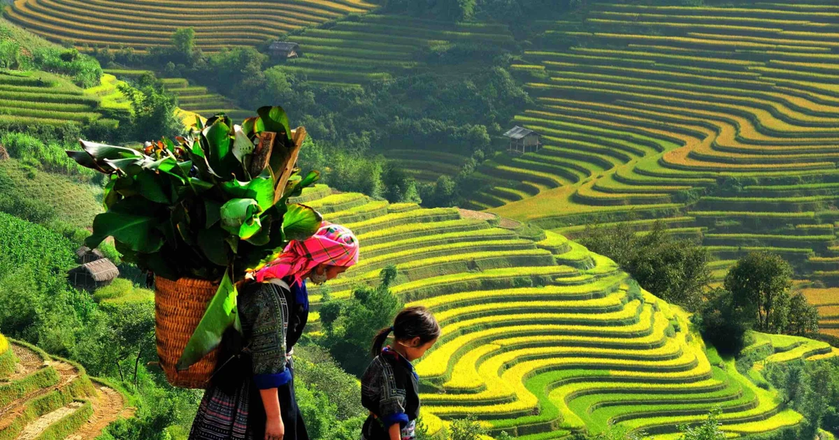 Tuổi trẻ vì cộng đồng (Y4C): Hành trình giáo dục trải nghiệm tại Bảo Thắng trước thềm năm mới