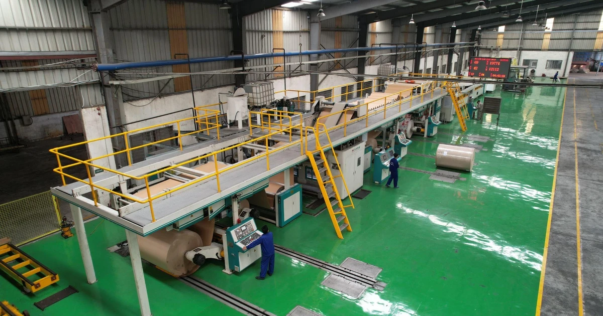 Bao bì Ngọc Diệp: Khẳng định bản lĩnh Thương hiệu Quốc gia trong kỷ nguyên số và chuyển đổi xanh