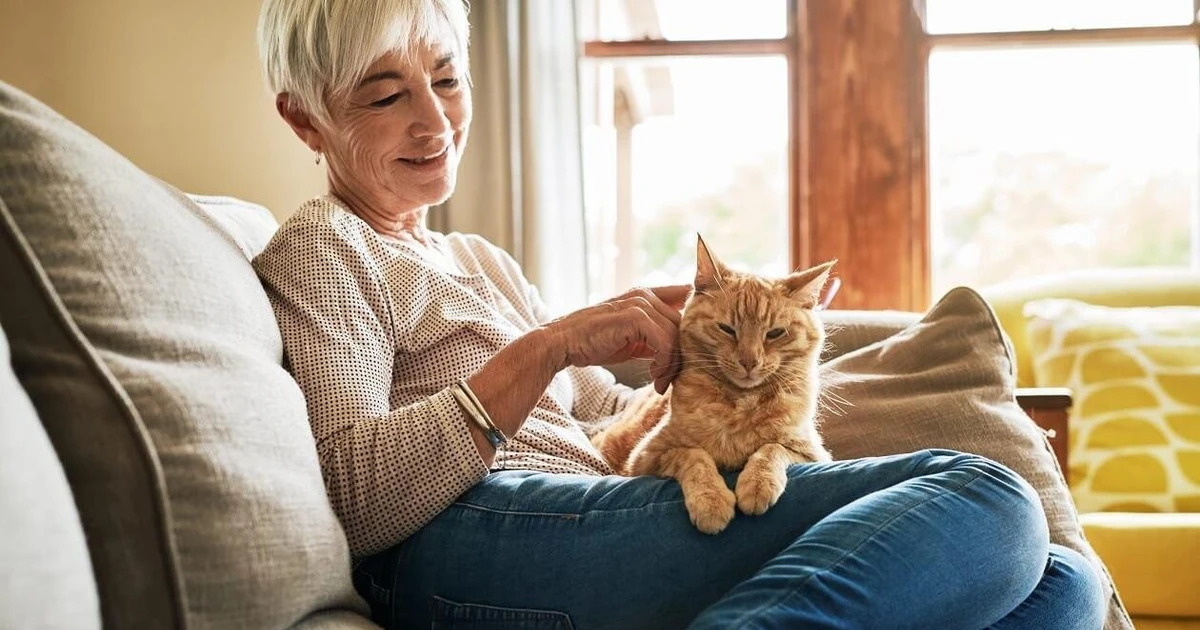 Người cao tuổi sống độc lập có thực sự cô đơn như chúng ta nghĩ?