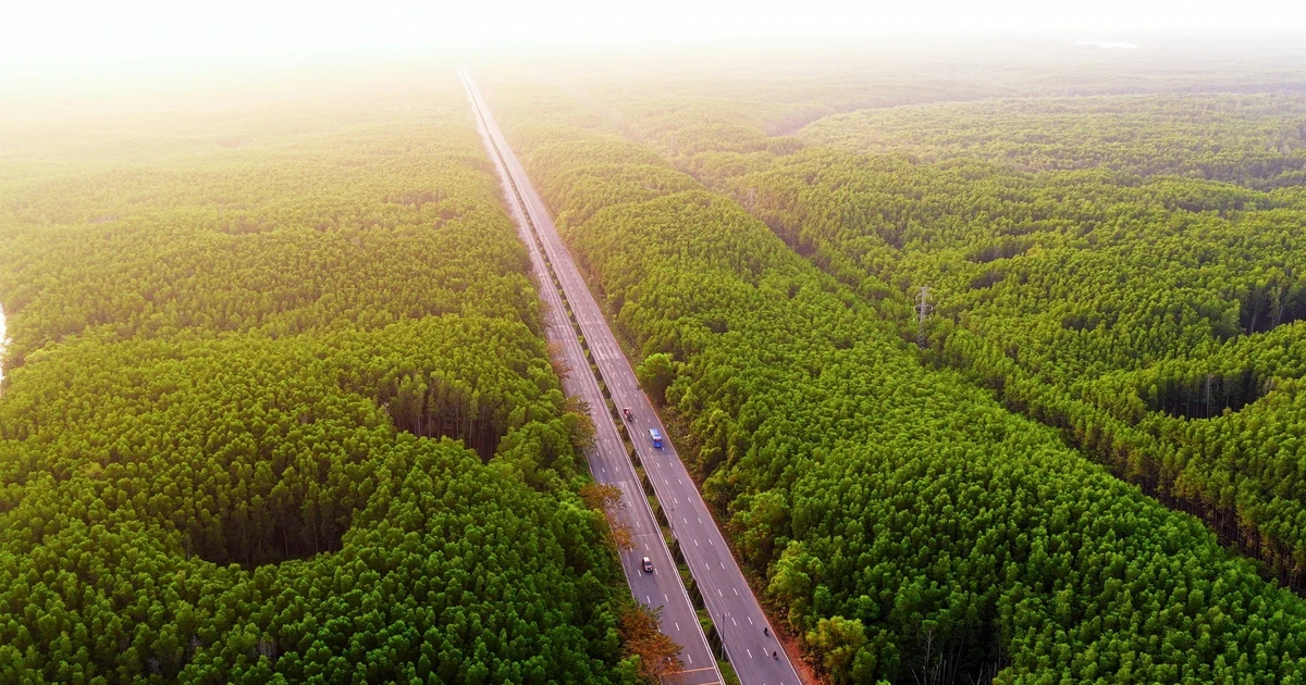 Vinhomes Green Paradise Cần Giờ thành đường đua cực đỉnh của 5.000 runner, mở ra tiềm năng đón 40 triệu du khách mỗi năm