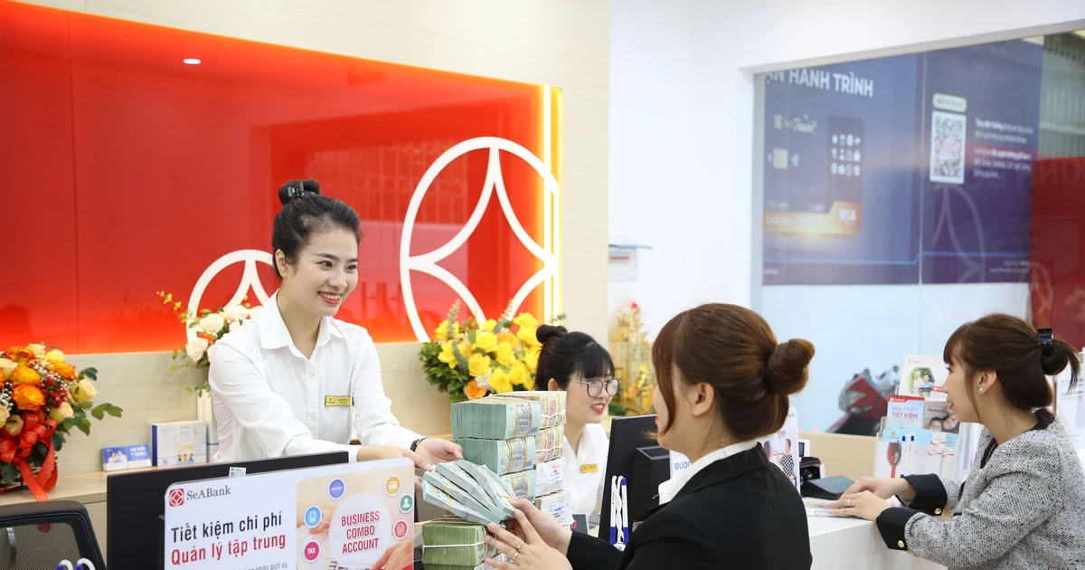 SeABank dự kiến chia cổ tức 20,5%, tăng vốn lên 34.688 tỷ đồng và mục tiêu lợi nhuận 7.068 tỷ đồng năm 2026