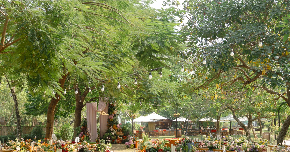 JW Marriott giới thiệu Garden Party: Trải nghiệm tiệc vườn kết nối thiên nhiên và giá trị bền vững