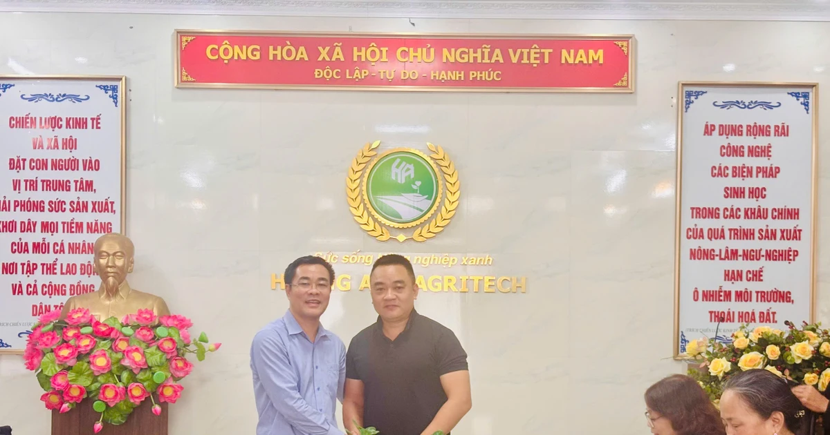 A&D Hoàng Long: Từ livestream giá nông sản đến đồng hành cùng nhà vườn xây dựng vùng trồng sạch