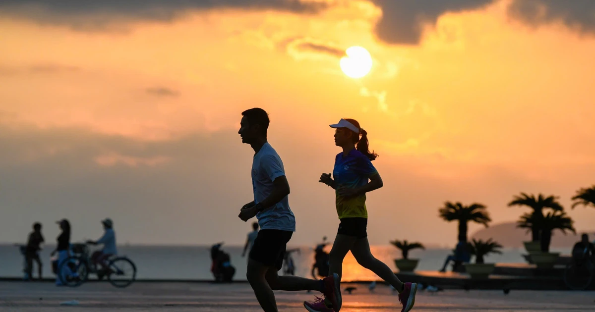 Tiền Phong Marathon 2026: Quy mô kỷ lục, kỳ vọng bùng nổ thành tích trên cung đường biển