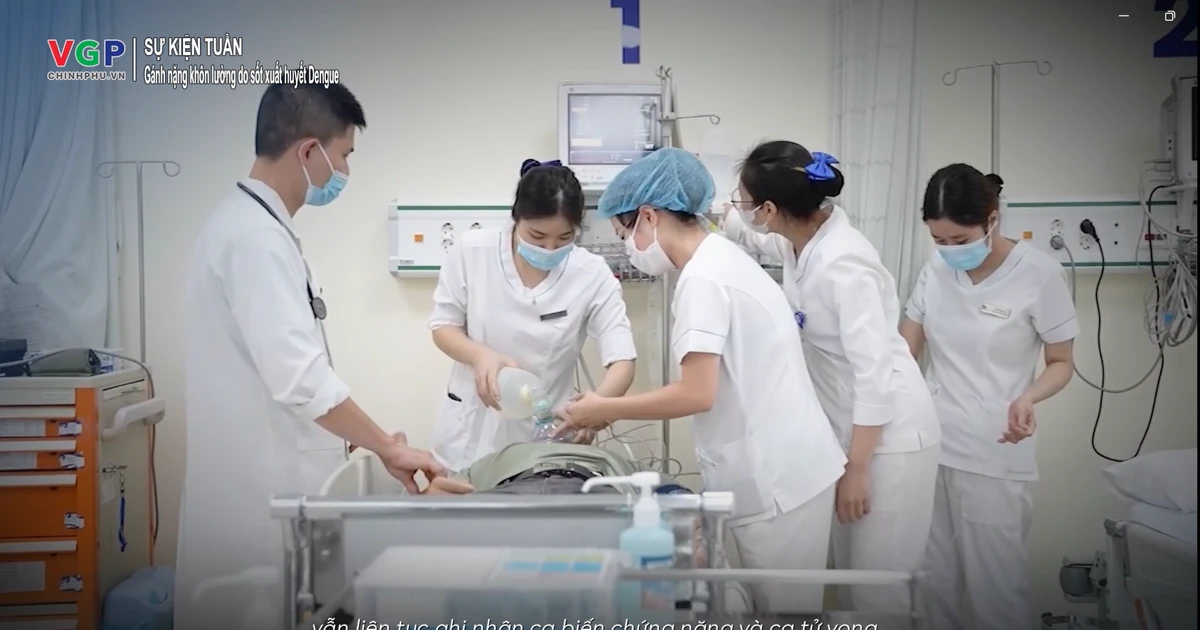 Loạt khuyến cáo quan trọng từ bác sĩ tuyến đầu về sốt xuất huyết Dengue