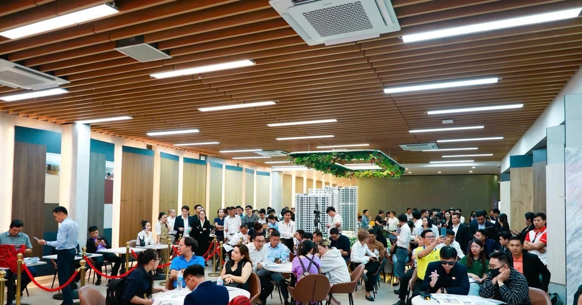 Gỗ An Cường và “quả ngọt đầu tay” ngay khi làm chủ đầu tư bất động sản