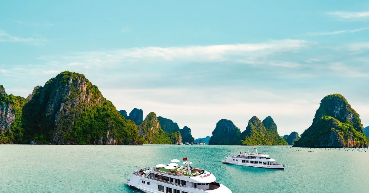 Tour hot mùa hè 2026: Trải nghiệm “Thiên đường hoang sơ” cùng hải trình “The Beauty of Vân Đồn”