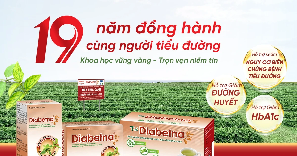 Dây thìa canh và bước tiến khoa học trong kiểm soát đường huyết: Từ y học cổ truyền đến bằng chứng hiện đại