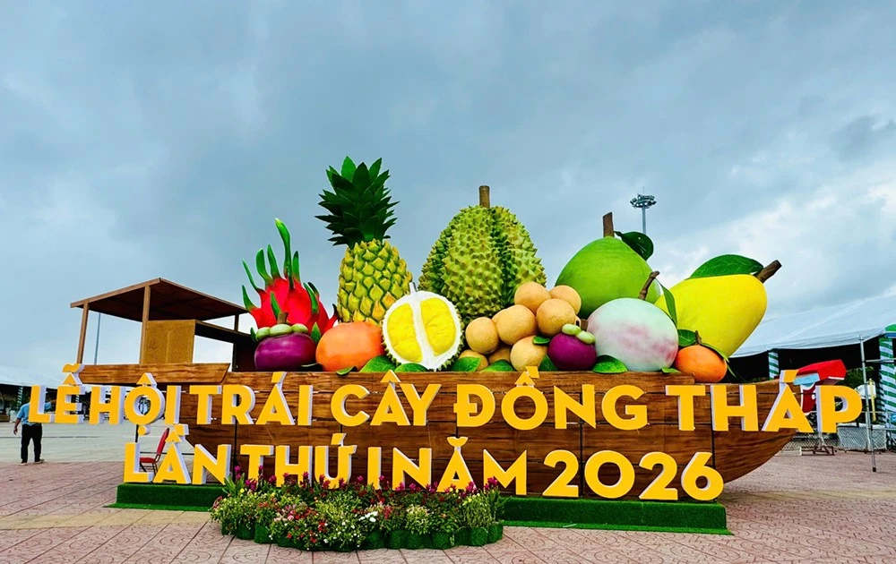 Đồng Tháp thúc đẩy phát triển ngành hàng trái cây theo hướng hiện đại