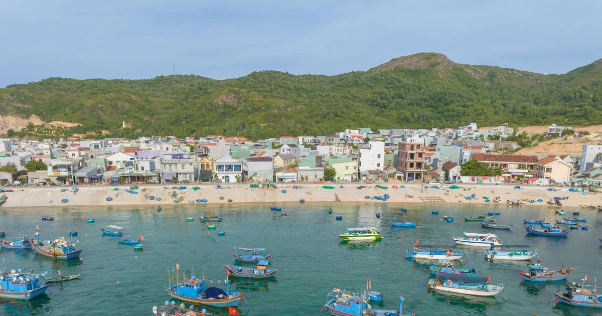 Quy Nhơn chuyển mình thành 'Thành phố khoa học'