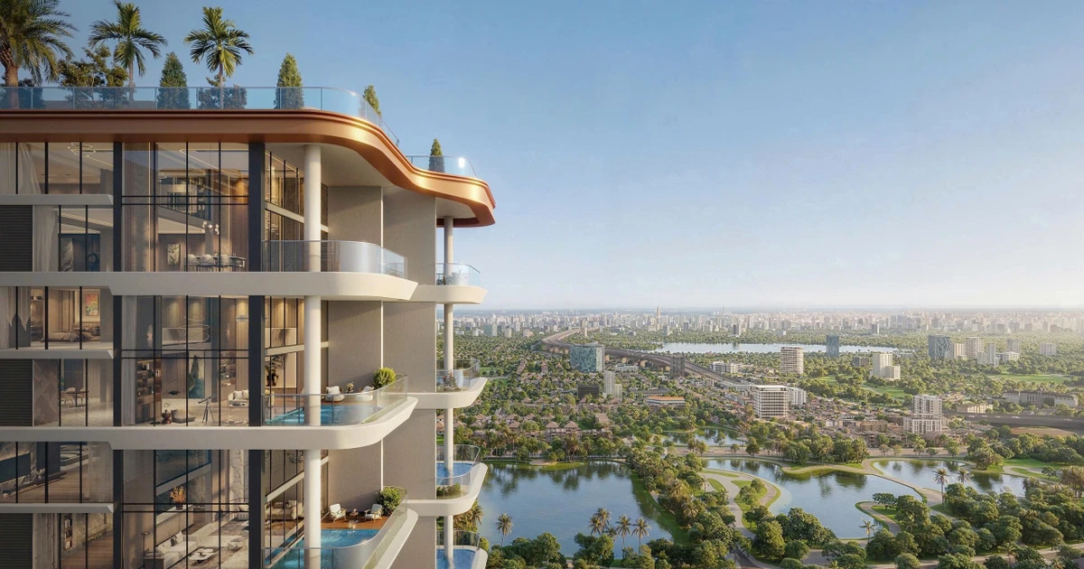 Phiên bản giới hạn: Sức hút vượt thời gian từ sự khan hiếm