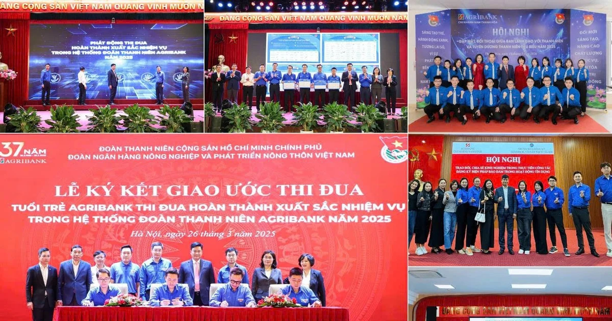 Khơi nguồn động lực đổi mới sáng tạo từ sức trẻ Agribank