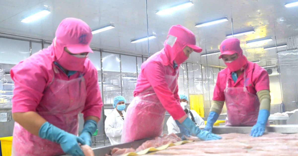 Thủy sản Việt Nam xuất Trung Quốc nhiều nhất