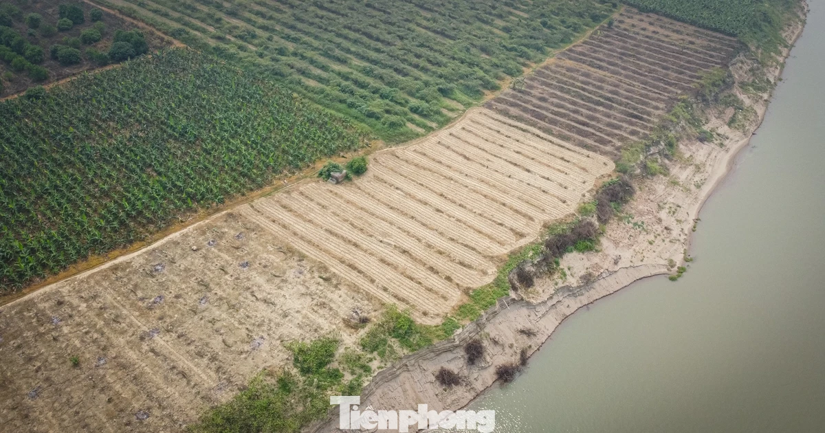 Cận cảnh mỏ cát ở Hà Nội cung ứng vật liệu xây dựng dự án sân bay Gia Bình