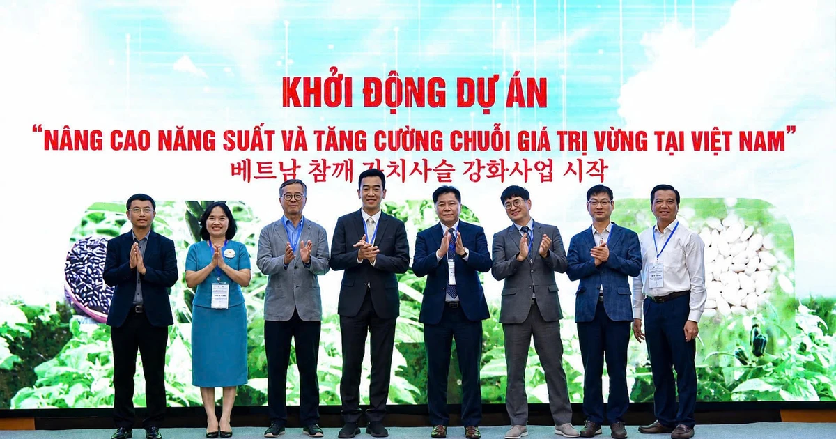 Sắp hình thành vùng sản xuất vừng hiện đại tại Nghệ An, Đồng Tháp